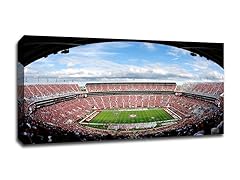 NCAA 40x22 Football Stadium Canvas