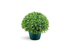 National Tree Company Holly Bush Shrub