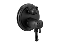 Delta Cassidy Dual-Function Shower Handle Trim Kit
