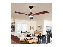 Kainozoic 52 Inch Ceiling Fan with Light