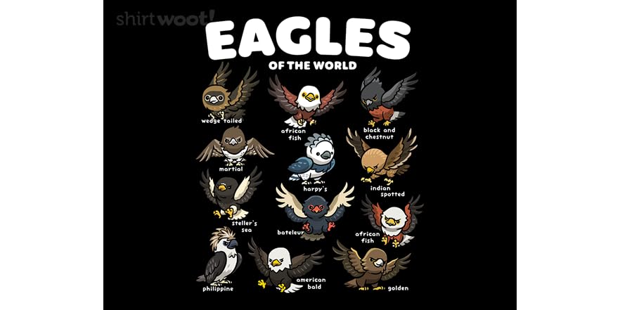 World of Eagles