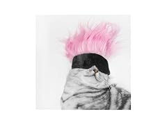 WALDOR Pet Wig Hat