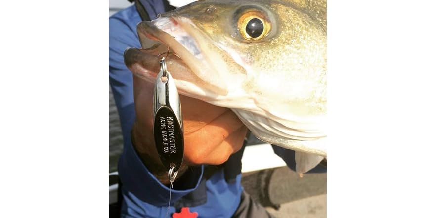 Acme Kastmaster SW-124T Esca Da Pesca 1/24oz | Oro Su Oro, Confezione Da 12 Pezzi