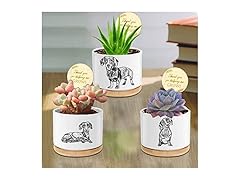 Dachshund Dog Succulent Pots, 3.15"