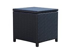 Shayna Outdoor Wicker Storage Ottoman