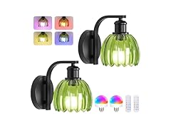 VerRon B0F1FLF17S Wall Sconce Set of Two