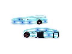 LED Dog collar & leash