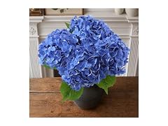 NINTYNINE Hydrangea Artificial Flowers