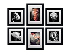 Floral Gallery Wall Collection Set of 6