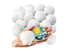 SINKOO 16PCS Natural Scallop Shells 3"-3.5"