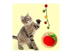 Layheld Cat Teaser Fruit-Shaped Squeaky String w Catnip
