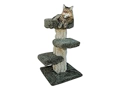 Cat Play Tree