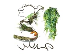 BNOSDM Reptile Plants, Flexible Rainforest Vines w Moss