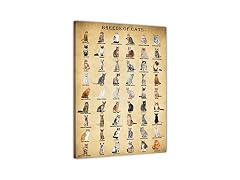 BASYEEO Cat Breeds Poster