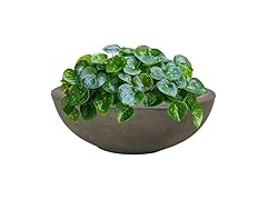 Sunnydaze Percival 20.75" Shallow Outdoor Planter Bowl - Sable