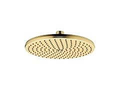 hansgrohe Locarno Showerhead 1-Spray with Easy Clean Nozzles