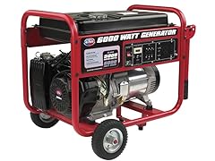All Power 6000W Generator