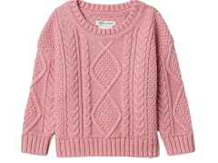 Amazon Essentials x Sofia Grainge Baby Boys Cable Crewneck Sweater