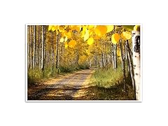 Fall Foliage - Aspen, Colorado