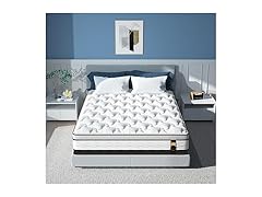 Maxzzz 14 inch Queen Hybrid Mattress