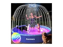 Pawtners Foldable Kiddie Pool
