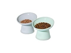 Necoichi 2pcs Tilted Elevated Cat Food Bowls