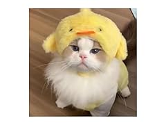 EFKLXMVYQ Pets-52 Chick Cute cat