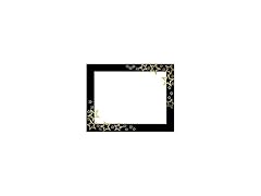 Great Papers! Great Papers! Star Search Gold Foil
