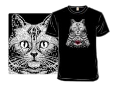 American Shorthair True Affection
