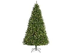 7.5' North Valley Spruce RGB Parade