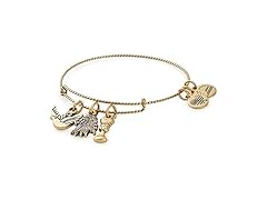 Alex and Ani Game of Thrones Bangle