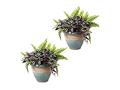 Sunnydaze Purlieu 12" Outdoor/Indoor Ceramic Planters