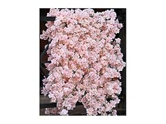 PARTY JOY 4pcs 23.6ft Artificial Cherry Blossom Flower Garland 