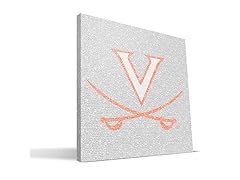 Virginia Cavaliers