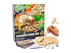 Young Scientists Club Exploring Fossils