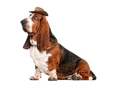 Rubies Cowboy Pet Hat for Dogs or Cats, M/L