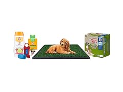 Pet Grooming, Care, and Potty Training!