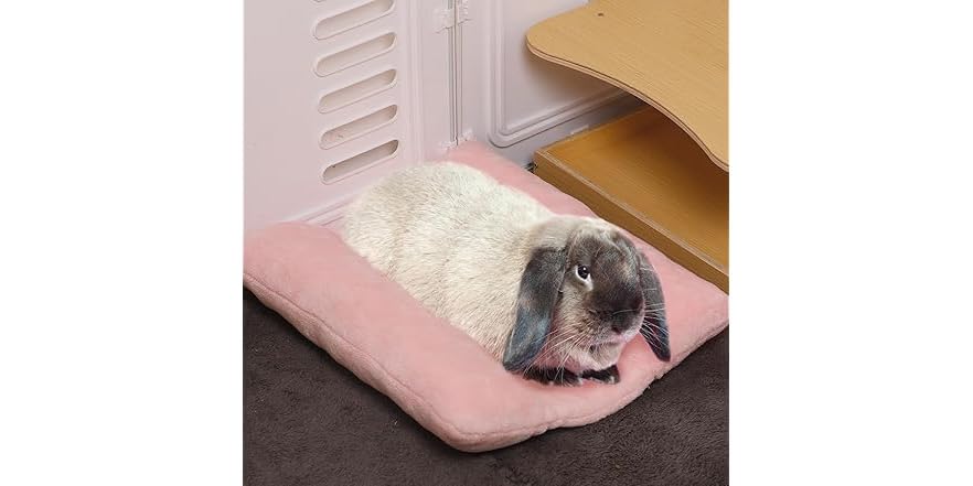 Soft Thickened Warm Rabbit Bed