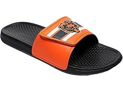 BEARS Sport Slides (13-14)