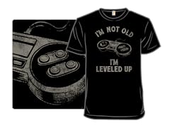 Not Old But Leveled Up