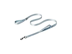 Amazon Basics Reflective Dog Leash 4ft