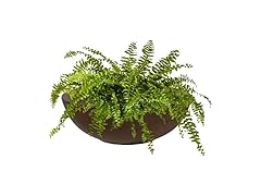 Sunnydaze Percival 20.75" Shallow Outdoor Planter Bowl