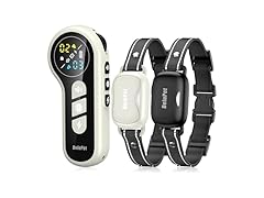 Delupet W0568 Dog Shock Collar 2 Dogs