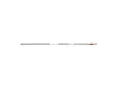 BLOODSPORT Hunting Arrow 6 Pack 400 Spine