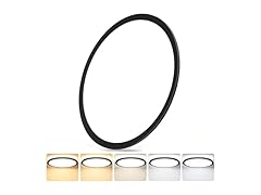 GoBright 16.5 Inch Large Flush Mount Ceiling Light Fixtures