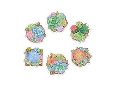 LERIAR Clear Succulent Plants Sticker