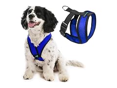 Gooby Comfort X Head-in Dog Harness, Choke-Free, S