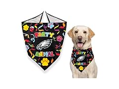 NFL Philadelphia Eagles Pet Birthday Bandana Small/Medium