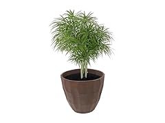 Sunnydaz Decor Pebbled Planter 15.75" Dark Brown