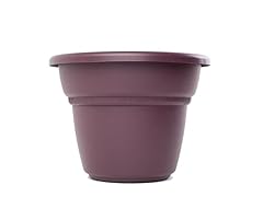 Planter, 20-Inch, Exotica